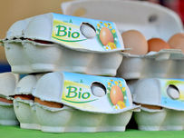 bio eier